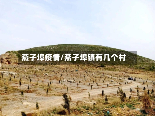 燕子埠疫情/燕子埠镇有几个村