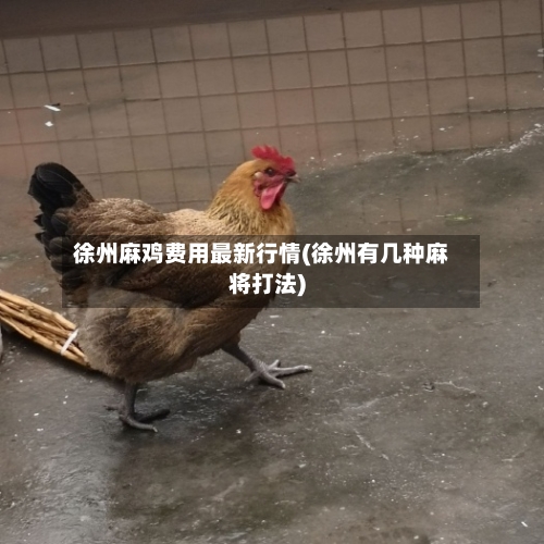 徐州麻鸡费用最新行情(徐州有几种麻将打法)-第2张图片