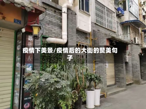 疫情下美景/疫情后的大街的赞美句子