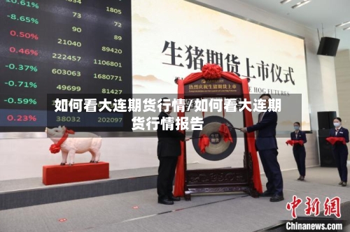 如何看大连期货行情/如何看大连期货行情报告