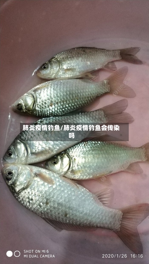 肺炎疫情钓鱼/肺炎疫情钓鱼会传染吗-第2张图片