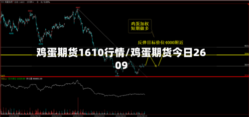鸡蛋期货1610行情/鸡蛋期货今日2609-第3张图片