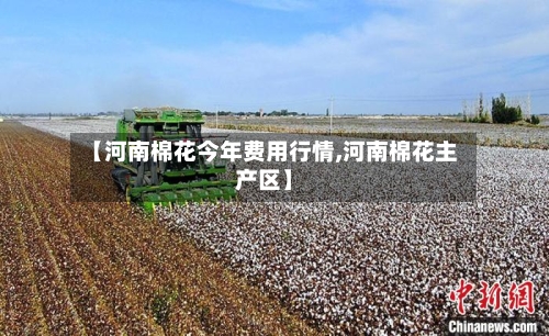 【河南棉花今年费用行情,河南棉花主产区】