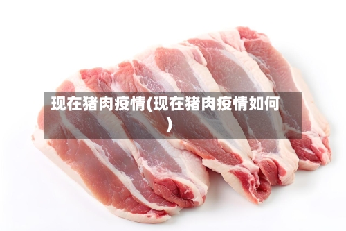 现在猪肉疫情(现在猪肉疫情如何)-第3张图片