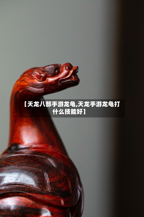 【天龙八部手游龙龟,天龙手游龙龟打什么技能好】