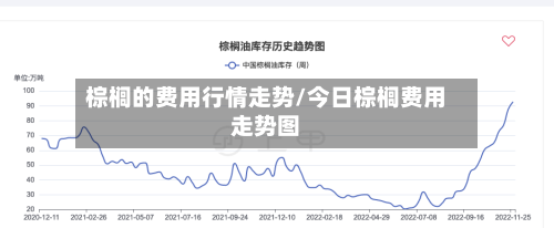 棕榈的费用行情走势/今日棕榈费用走势图
