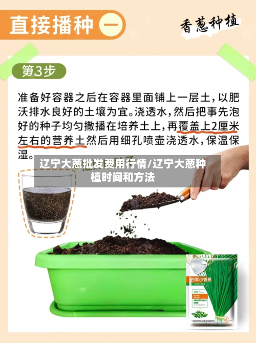 辽宁大葱批发费用行情/辽宁大葱种植时间和方法-第3张图片