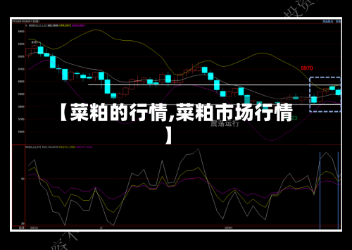 【菜粕的行情,菜粕市场行情】