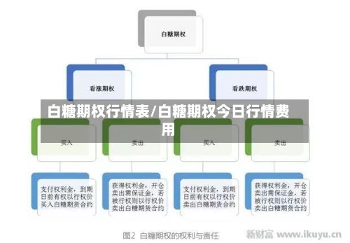 白糖期权行情表/白糖期权今日行情费用