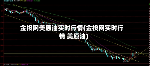 金投网美原油实时行情(金投网实时行情 美原油)-第2张图片