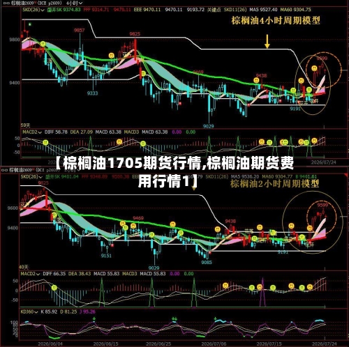 【棕榈油1705期货行情,棕榈油期货费用行情1】-第2张图片