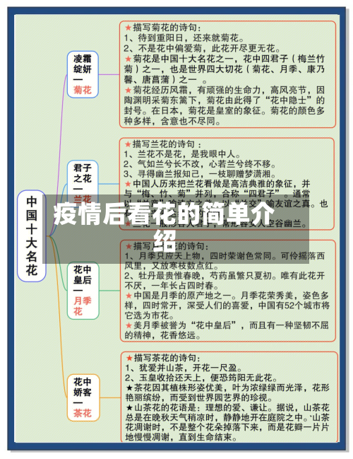疫情后看花的简单介绍