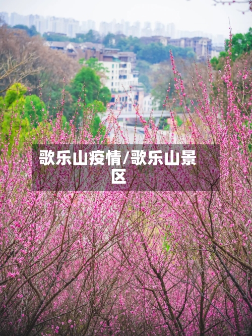 歌乐山疫情/歌乐山景区-第2张图片