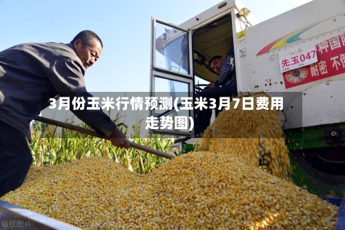3月份玉米行情预测(玉米3月7日费用走势图)-第2张图片