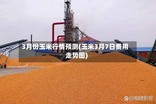 3月份玉米行情预测(玉米3月7日费用走势图)