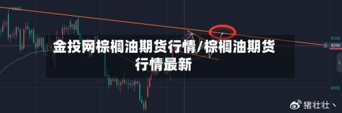 金投网棕榈油期货行情/棕榈油期货行情最新-第3张图片