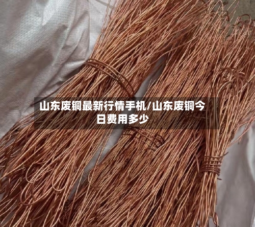 山东废铜最新行情手机/山东废铜今日费用多少-第2张图片
