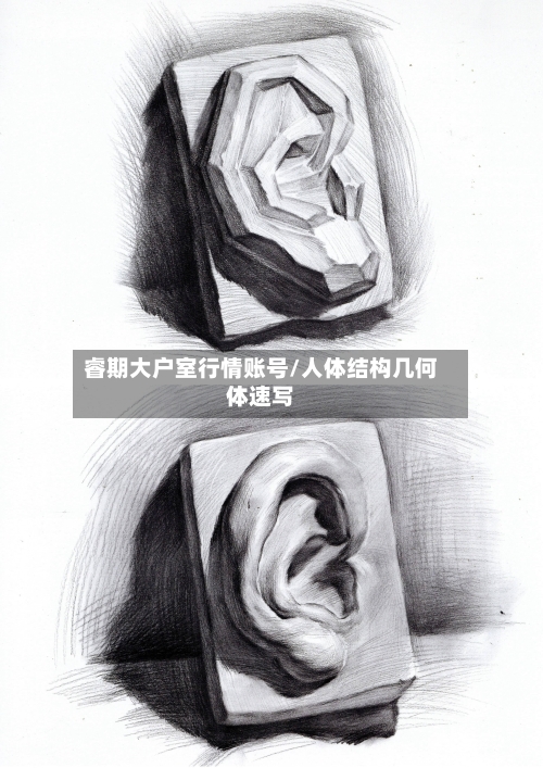 睿期大户室行情账号/人体结构几何体速写