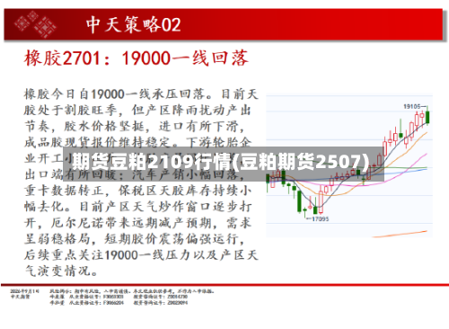 期货豆粕2109行情(豆粕期货2507)