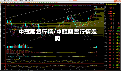 中辉期货行情/中辉期货行情走势