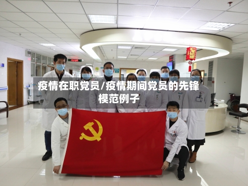 疫情在职党员/疫情期间党员的先锋模范例子