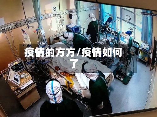 疫情的方方/疫情如何了-第2张图片