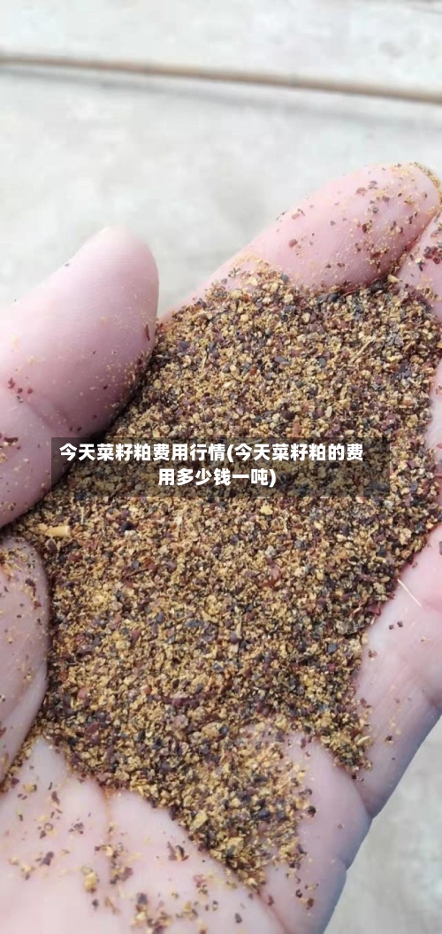 今天菜籽粕费用行情(今天菜籽粕的费用多少钱一吨)-第2张图片