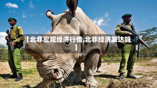 【北非宏观经济行情,北非经济发达吗】-第2张图片