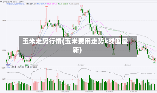 玉米走势行情(玉米费用走势k线图最新)-第2张图片