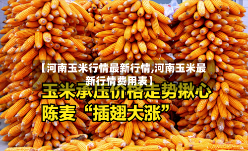 【河南玉米行情最新行情,河南玉米最新行情费用表】