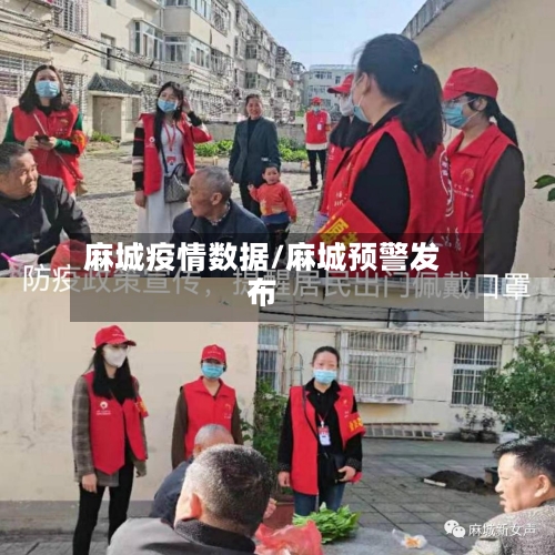 麻城疫情数据/麻城预警发布