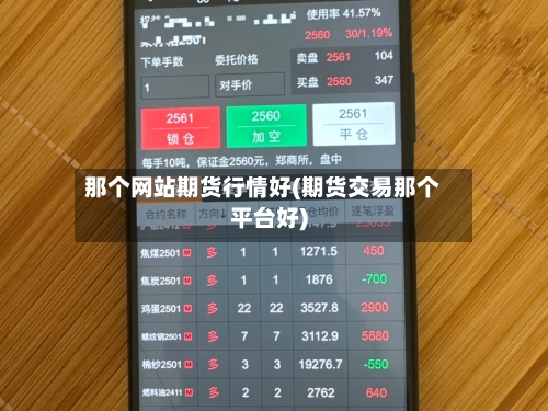 那个网站期货行情好(期货交易那个平台好)