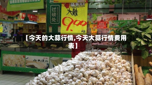 【今天的大蒜行情,今天大蒜行情费用表】-第2张图片