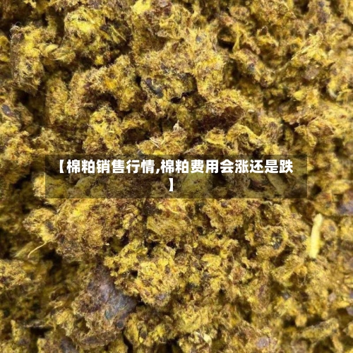 【棉粕销售行情,棉粕费用会涨还是跌】