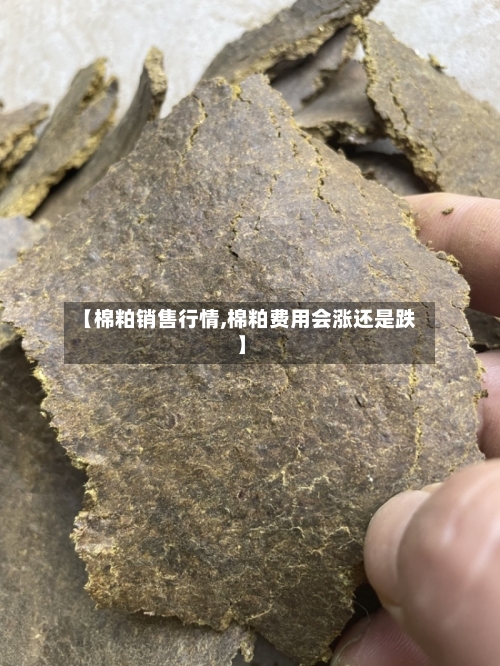 【棉粕销售行情,棉粕费用会涨还是跌】-第3张图片