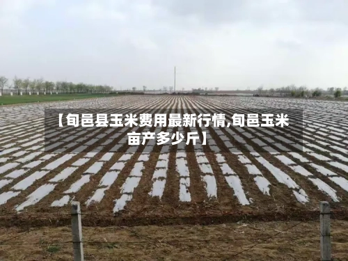 【旬邑县玉米费用最新行情,旬邑玉米亩产多少斤】