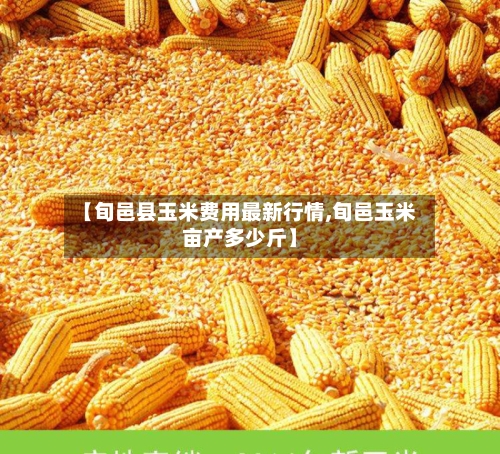 【旬邑县玉米费用最新行情,旬邑玉米亩产多少斤】-第2张图片