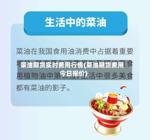 菜油期货实时费用行情(菜油期货费用今日报价)