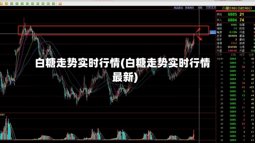 白糖走势实时行情(白糖走势实时行情最新)