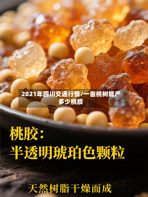 2021年四川交通行情/一亩桃树能产多少桃胶