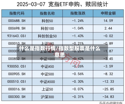 什么是指数行情/指数型股票是什么意思