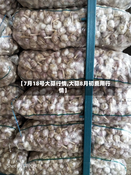 【7月18号大蒜行情,大蒜8月初费用行情】-第2张图片