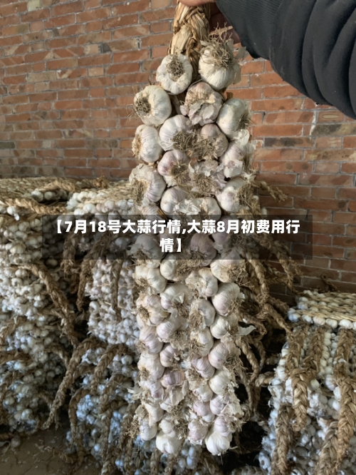 【7月18号大蒜行情,大蒜8月初费用行情】-第3张图片