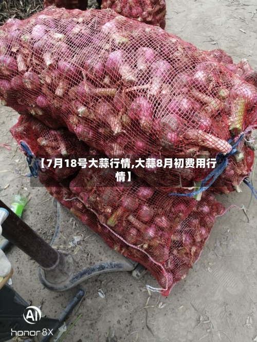 【7月18号大蒜行情,大蒜8月初费用行情】