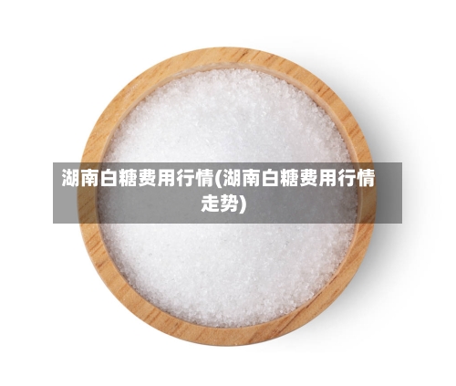 湖南白糖费用行情(湖南白糖费用行情走势)
