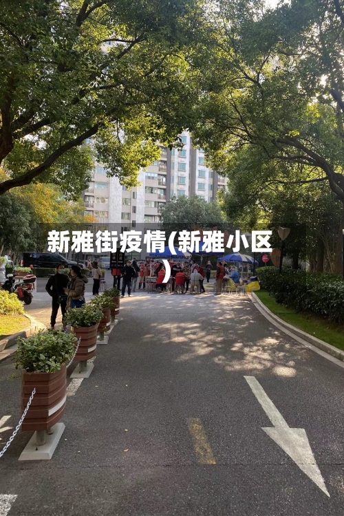 新雅街疫情(新雅小区)