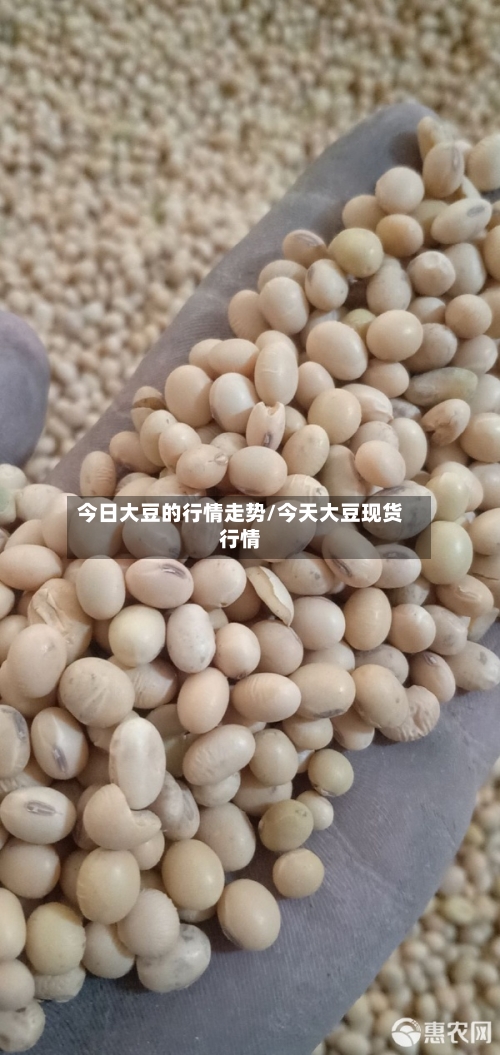 今日大豆的行情走势/今天大豆现货行情
