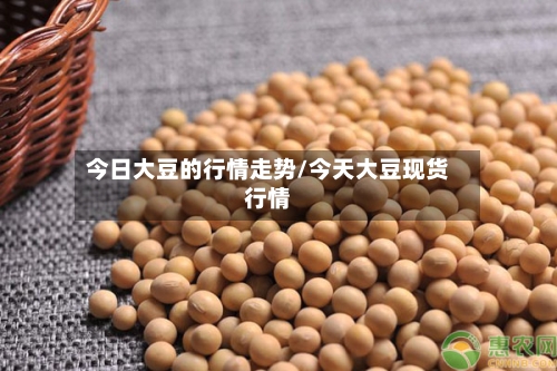 今日大豆的行情走势/今天大豆现货行情-第2张图片