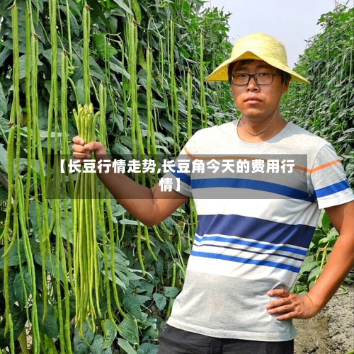 【长豆行情走势,长豆角今天的费用行情】