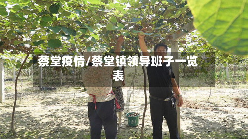 蔡堂疫情/蔡堂镇领导班子一览表-第2张图片